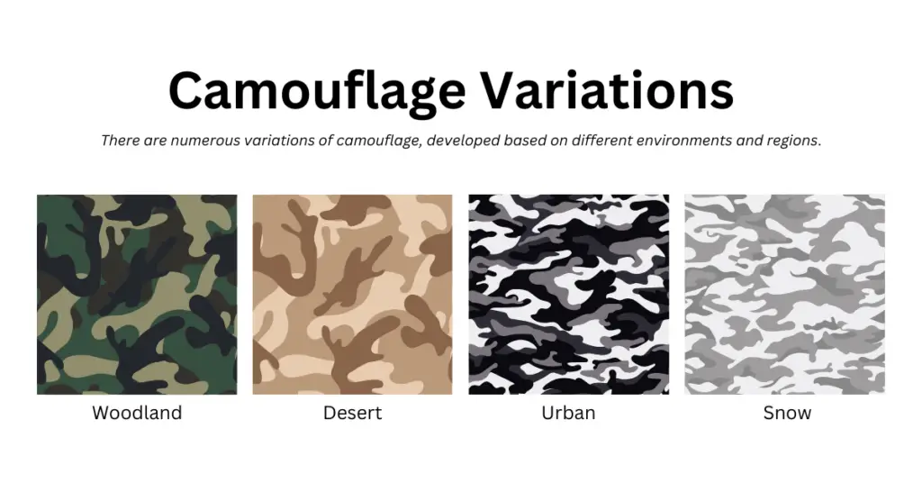 Main Camouflage Variations